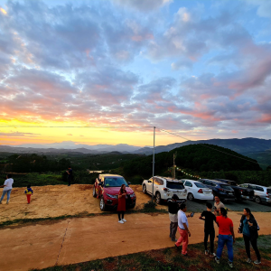 Tour bất động sản