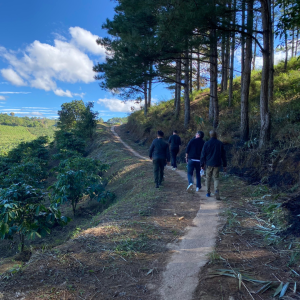 Tour bất động sản